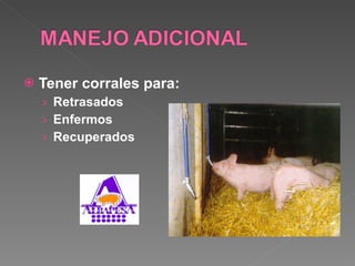 Tener corrales para:  Retrasados Enfermos Recuperados 