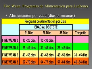 Fine Wean: Programas de Alimentación para Lechones Alimentación por edad (días o semanas) 