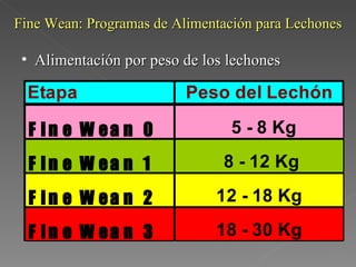 Fine Wean: Programas de Alimentación para Lechones Alimentación por peso de los lechones 