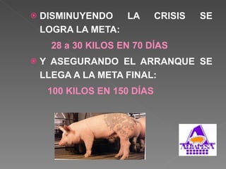 DISMINUYENDO LA CRISIS SE LOGRA LA META: 28 a 30 KILOS EN 70 DÍAS Y ASEGURANDO EL ARRANQUE SE LLEGA A LA META FINAL:   100 KILOS EN 150 DÍAS 