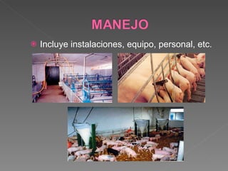 Incluye instalaciones, equipo, personal, etc. 