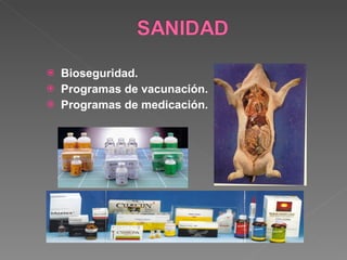 Bioseguridad. Programas de vacunación.  Programas de medicación. 