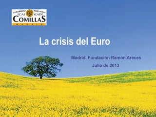 La crisis del Euro
Madrid. Fundación Ramón Areces
Julio de 2013
 