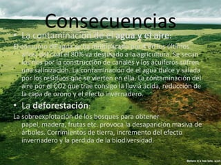 ConsecuenciasLa contaminación de el agua y el aire:El consumo de agua se ha multiplicado por 4 en los últimos años, del cual el 80% va destinado a la agricultura. Se secan los ríos por la construcción de canales y los acuíferos sufren una salinización. La contaminación de el agua dulce y salada por los residuos que se vierten en ella. La contaminación del aire por el CO2 que trae consigo la lluvia ácida, reducción de la capa de ozono y el efecto invernadero.La deforestación:La sobreexplotación de los bosques para obtener papel, madera, frutas etc. provoca la desaparición masiva de árboles. Corrimientos de tierra, incremento del efecto invernadero y la perdida de la biodiversidad.