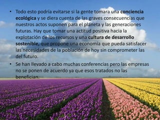 Todo esto podría evitarse si la gente tomara una conciencia ecológica y se diera cuenta de las graves consecuencias que nuestros actos suponen para el planeta y las generaciones futuras. Hay que tomar una actitud positiva hacia la explotación de los recursos y una cultura de desarrollo sostenible, que propone una economía que pueda satisfacer las necesidades de la población de hoy sin comprometer las del futuro.Se han llevado a cabo muchas conferencias pero las empresas no se ponen de acuerdo ya que esos tratados no las benefician.