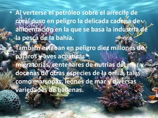 Al verterse el petróleo sobre el arrecife de coral puso en peligro la delicada cadena de alimentación en la que se basa la industria de la pesca de la bahía.También estaban en peligro diez millones de pájaros y aves acuáticas migratorias, centenares de nutrias del mar y docenas de otras especies de la orilla, tales como marsopas, leones de mar y diversas variedades de ballenas.