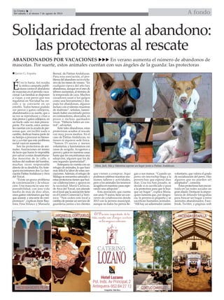 A fondoLa Crónica 2
Del sábado 1 al viernes 7 de agosto de 2014

Solidaridad frente al abandono:
las protectoras al rescate
ABANDONADOS POR VACACIONES  En verano aumenta el número de abandonos de
mascotas. Por suerte, estos animales cuentan con sus ángeles de la guarda: las protectoras
É
l no lo haría. Así rezaba
la mítica campaña publi-
citaria contra el abandono
de mascotas en el período vaca-
cional. Las familias se disponen
a viajar, y ese perro que nos
regalaron en Navidad ha cre-
cido y se convierte en un
estorbo. Todos hemos podido
ver perros y gatos callejeros,
abandonados a su suerte, que a
su vez se reproducen y crían a
más perros y gatos callejeros, en
un bucle cada vez más preocu-
pante. Por suerte, estos anima-
les cuentan con la ayuda de per-
sonas que, sin recibir nada a
cambio, dedican buena parte de
su tiempo a procurar su bienes-
tar y a evitar que este problema
social vaya en aumento.
Son las protectoras de ani-
males. Asociaciones sin ánimo
de lucro que hacen lo imposible
por salvar a estas desafortuna-
das mascotas de la calle, e
incluso del maltrato del hombre,
muchas veces responsable
directo de su desdicha. EnAnte-
quera encontramos dos: LaAso-
ciación PatitasAndaluzas yArca
del Torcal.
“Existe un grave problema
de concienciación y de educa-
ción. Una mascota es una res-
ponsabilidad, con una vida
media de más de diez años,
unos gastos veterinarios que hay
que asumir, y una serie de com-
promisos”, explican Irene Bau-
tista, Fina Velasco y Manuela
Bernal, de Patitas Andaluzas.
Para esta asociación, el pro-
blema del abandono no es exclu-
sivo de los meses de verano. “En
cualquier época del año hay
abandonos, aunque en el mes de
febrero aumentan, al término de
la temporada de caza. Muchos
cazadores usan a los galgos
como una herramienta y des-
pués los abandonan, algunos
incluso con evidentes muestras
de maltrato”, señalan, lamen-
tando haber encontrado perros
en contenedores, ahorcados, en
pozos e incluso quemados
vivos. “Debería haber un con-
trol”, advierten.
Ante tales abandonos, estas
protectoras acuden al rescate
con muy pocos medios. En el
caso de Patitas Andaluzas, no
tienen ni siquiera sede física.
“Somos 15 socios y menos
voluntarios, y funcionamos con
casas de acogida. Acogemos a
perros y gatos en nuestras casas
hasta que les encontramos una
adopción, alguien que les de
una segunda oportunidad”.
Antequera no cuenta con un
refugio de animales, lo que hace
más dificil la labor de estas aso-
ciaciones.Además, el refugio de
Málaga se encuentra saturado y
estas protectoras tienen que bus-
car colaboraciones y apoyos en
la sociedad. María Cárnicas,
de Arca del Torcal, nos atiende
en el local que la asociación tiene
en el Centro Comercial La Veró-
nica: “Nos ceden este local a
cambio de prestar un servicio de
guardería canina a los clientes
que vienen a comprar. Aquí
podemos celebrar nuestras reu-
niones, talleres y actividades,
pero a los animales los tenemos
acogidos en nuestras casas espe-
rando una adopción”.
Esta asociación, que cuenta
con unos 75 socios, tiene un con-
venio de colaboración desde
2013 con la perrera municipal,
aunque no todos los perros lle-
gan a sus manos. “Cuando un
perro sin microchip llega a la
perrera hay que esperar diez
días. Una vez han pasado, se
decide si es sacrificado o pasa
a la protectora para que le bus-
que un hogar”, explica María,
quien lamenta que, por desgra-
cia, la perrera es pequeña y se
sacrifican bastantes animales.
“Allí hay un adiestrador canino
voluntario, que valora el grado
de socialización del perro. Hay
algunos que no pueden ser
adoptados”, comenta.
Estas protectoras han encon-
trado en las redes sociales un
gran aliado. Destacan la impor-
tancia de difundir fotografías
para buscar un hogar a estos
animales abandonados. Face-
book, Twitter, y páginas web
Hera, Jack, Sila y Valentina esperan un hogar junto a Patitas Andaluzas.
 Javier G. España
 