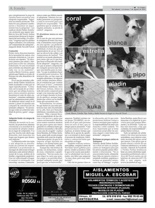 3  La Crónica
Del sábado 1 al viernes 7 de agosto de 2014A fondo
que complementan la pega de
carteles hasta encontrar una
adopción responsable. “Segui-
mos un estricto protocolo. Visi-
tamos la casa, pasamos cuestio-
narios y hacemos un segui-
miento tras la adopción”, nos
explican desde Patitas Andalu-
zas, protocolo que siguen tam-
bién en Arca del Torcal. Ambas
asociaciones destacan la impor-
tancia del microchip y la castra-
ción, “exigimos que los adultos
salgan castrados y los cachorros
con compromiso de castración”,
aseguran desdeArca del Torcal.
Castración
Existe cierto desconocimiento
de la necesidad de castrar a los
animales domésticos. Las pro-
tectoras son tajantes: “Es nece-
sario primero por salud, y des-
pués para evitar las camadas
indeseadas. Es una necesidad
para controlar una situación que
cada vez va en aumento”,
explica María Cárnicas, quien
apunta que España es el país de
Europa con más abandonos de
animales.
En el caso de animales calle-
jeros, desde Patitas Andaluzas
están ayudando a evitar que se
sigan reproduciendo. “Conta-
mos con la ayuda de un veteri-
nario que nos rebaja el precio,
pero somos nosotros quienes
asumimos el coste de estas cas-
traciones”, comentan, señalando
que las administraciones públi-
cas deberían tomar cartas en el
asunto y poner en marcha una
campaña de esterilización de
animales callejeros. “Es necesa-
rio que exista un control de nata-
lidad de perros y gatos”, asegu-
ran.
Adopción frente a la compra de
mascotas
Además de insistir en la cas-
tración, las protectoras intentan
concienciar a la sociedad de la
necesidad de adoptar anima-
les en lugar de comprarlos. Y es
que hay mucha más oferta que
demanda, más mascotas sin
hogar que hogares que deseen
una mascota.
La diferencia entre una venta
y una adopción es sencilla:
existe un contrato de respon-
sabilidad. Las protectoras se
encargan de seleccionar el hogar
ideal para cada animal (dimen-
siones de la casa, análisis de la
familia y seguimiento posterior).
Una vez seleccionado el hogar,
el animal es entregado con
microchip, vacunas y castración,
únicos costes que deberá asumir
el adoptante. Además, los ani-
males presentan su pasaporte,
y todo lo necesario para una
adopticón responsable. “No
queremos que se vendan ni se
regalen animales, se pierde el
control”, aseguran.
El abandono nunca es una
opción
En el caso de que una persona
se arrepienta de tener una mas-
cota, el abandono nunca puede
ser una opción. Las protecto-
ras lamentan la falta de respon-
sabilidad a la hora de querer
desprenderse de un ser vivo al
que un día se le dio cobijo y un
compromiso de lealtad. “Un
animal no se puede abandonar,
pero antes que eso lo que hay
que hacer es buscarle otra fami-
lia de adopción”, aseguran, a la
vez que se ponen a disposición
de cualquier persona que bus-
que una familia para su mas-
cota. “Lo que no podemos hacer
es quedarnoslo nosotros. No
tenemos sitio, no hay casas de
acogida suficientes y en algunos
casos, incluso, tenemos anima-
les en residencias que cuestan
100 euros al mes”, comentan
desde Patitas Andaluzas. Arca
del Torcal, incluso, ofrece su
sede del centro comercial para
acoger a las mascotas que bus-
can un hogar durante su hora-
rio de apertura, aunque luego
tienen que volver con su dueño
hasta que encuentren otro.
Normalmente, los anima-
les que tienen en casa estas pro-
tectoras han sido encontrados
en la calle, bien por llamadas
telefónicas o rescatados por ellos
mismos. “Más o menos lleva-
mos un seguimiento de las colo-
nias o los perros y gatos que
vamos encontrando. Muchas
veces somos nosotros mismos
los que, poco a poco, nos vamos
ganando su confianza hasta que
podemos rescatarlos y llevarlos
a una casa de acogida”, explica
Irene Bautista, de PatitasAnda-
luzas, quien pide ayuda porque
necesitan más casas de acogida.
“Buscamos gente a la que no le
importe acoger durante un
tiempo a un animal hasta que
encuentre una familia”, solicita.
Aunque hay más formas de
ayudar, con donaciones, cuotas
de socio, voluntarios o apadri-
namientos. “Son los socios los
que eligen la cuota que quie-
ren pagar y su periodicidad,
porque cualquier ayuda, por
poca que sea, es bienvenida”,
aseguran. También cuentan con
un grupo TEAMING, un sis-
tema en el que cada persona
dona un euro al mes, que va
íntegro para la asociación. “Cien
personas hacen cien euros”,
explican, al mismo tiempo que
hablan de la opción de apadri-
nar a un animal; es decir, pagar
el proceso de residencia, veteri-
nario y castración hasta que
encuentre un hogar.
También realizan sorteos,
mercadillos, compran Lotería de
Navidad, hacen galletas para
perros, venden accesorios y todo
lo que se les ocurre para poten-
ciar la solidaridad con los ani-
males, una labor que aseguran
“es muy dura, pero muy satis-
factoria”.
Otro de los puntos clave es
la educación, por lo que estas
protectoras realizan visitas a
centros escolares para explicar
la responsabilidad de tener una
mascota y cómo cuidarla. “Es
muy importante que se tome
conciencia social sobre las nor-
mas a seguir y cómo tratar a los
animales”, aseguran.
Reclaman un parque canino en
Antequera
Además, desde PatitasAndalu-
zas echan en falta un parque
canino en Antequera para que
los perros puedan pasear libre-
mente y relacionarse. “No es
una inversión fuerte, sólamente
hace falta un espacio extenso e
instalarle sombras, papeleras e
incluso un gimnasio canino,
como hay en Málaga”, explica
Irene Bautista, quien lleva a sus
mascotas a la capital de la pro-
vincia para que paseen libre-
mente y se diviertan. “Cada vez
hay más mascotas, y hay que
cuidarlas con responsabilidad”,
señala María Cárnicas.
Todo un ejemplo de solida-
ridad el de estas asociaciones
animalistas, cuyo esfuerzo cons-
tante necesita del apoyo social
que merece. Una apoyo que se
puede ofrecer a través de sus
contactos telefónicos y en redes
sociales. Además de Facebook
y Twitter, Patitas Andaluzas
tiene un correo electrónico (pati-
tasandaluzas@hotmail.com) y
Arca del Torcal cuenta con un
teléfono de atención (637 176
058) y una página web
(www.arcadeltorcal.org).
Coral, Blanca, Estrella, Pipo, Kuka y Aladín buscan un hogar en Arca del Torcal.
 