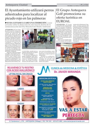 11 ç La Crónica
Del sábado 11 al viernes 17 de junio de 2016Antequera Ciudad
El Grupo Antequera
Golf promociona su
oferta turística en
EUROAL
El Ayuntamiento utilizará perros
adiestrados para localizar al
picudo rojo en las palmeras
uSE HA LLEVADO A CABO UNA EXHIBICIÓN y unas
jornadas sobre la detección de este insecto dentro de la
conmemoración del Día Mundial del Medio Ambiente
ANTEQUERA. El Coso Viejo
ha sido escenario este jueves
9 de junio de una exhibición
canina de detección del
picudo rojo, insecto que afecta
a las palmeras. Operarios de
Parques y Jardines han estado
presentes durante la demos-
tración antes de participar
en unas jornadas sobre este
coleóptero a cargo de la
empresa Gimasur Ambiental,
que se han celebrado en el
Salón de Actos del Museo de
la Ciudad de Antequera, den-
tro de las actividades con-
memorativas del Día Mundial
del Medio Ambiente.
Según ha explicado Daniel
González, de la empresa Doc-
torarbol, se trata de una herra-
mienta “muy válida y muy
poco costosa que puede tener
cualquier ayuntamiento”. Los
perros son adiestrados para la
detección de este insecto a tra-
vés del olfato, siendo este un
método natural para el control
de este tipo de plagas.
El concejal delegado de
Medio Ambiente, Juan Álva-
rez, ha señalado a este insecto
como un “problema impor-
tante” por el que el Ayunta-
miento está llevando a cabo
una serie de medidas, entre
las que se encuentran esta
detección a cargo de perros
adiestrados.
Durante la exhibición,
‘Sheila’ ha encontrado un
ejemplar de picudo rojo
escondido en una de las pal-
meras de la plaza.
ANTEQUERA. El Grupo
Antequera Golf, representado
por su consejero delegado,
Ramón Jiménez; el director
comercial, Christian Borin, y
los responsables comerciales
María Prados y José Ramón
Jiménez, han estado presen-
tes en el Salón Internacional
de Turismo EUROAL, cele-
brado en Torremolinos del 2
al 4 de junio.
Esta vez el complejo hote-
lero ha contado con la colabo-
ración de los Hermanos Cam-
pano, actuales gestores del
Caminito del Rey-Desfiladero
de los Gaitanes, con el fin de
afianzar y atraer a un mayor
número de touroperadores
internacionales, y mostrar-
les todas las oportunidades
vacacionales de Antequera y
su comarca, destacando este
año la candidatura a Patrimo-
nio Mundial de la UNESCO
del Sitio de los Dólmenes de
Antequera.
 