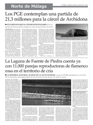 La Laguna de Fuente de Piedra cuenta ya
con 11.000 parejas reproductoras de flamenco
rosa en el territorio de cría
uLA RESERVA NATURAL ACOGE EN LA ACTUALIDAD a más de 30.000 ejemplares y el éxito
de la reproducción dependerá de las lluvias de los meses de abril y mayo
ARCHIDONA. El proyecto
de Presupuestos Generales
del Estado (PGE) para 2017
contempla entre sus parti-
das una de 21,3 millones de
euros que se destinan al Cen-
tro Penitenciario Málaga II,
conocido como la cárcel de
Archidona. Se trata de una de
las principales partidas que se
destinarán este año a la pro-
vincia de Málaga, que ha
visto menguada la cantidad
que va a percibir en inver-
siones del Estado con respecto
a ejercicios anteriores.
La cárcel de Archidona,
pese a estar construida y fina-
lizada desde hace algunos
años, aun se encuentra
cerrada, aunque está previsto
que antes de que finalice el
verano pueda abrir sus puer-
tas de forma parcial y progre-
siva. En concreto, la horquilla
que se baraja para la llegada
de los primeros reclusos al
centro penitenciario es la
segunda quincena de junio y
primera de julio, aunque
depende de la resolución de
la provisión de puestos de tra-
bajo y el concurso de trasla-
dos del funcionariado que va
a ejercer sus labores en el cen-
tro penitenciario.
Esta partida que se incluye
en las cuentas estatales se des-
tinaría a la contratación del
personal y la puesta en mar-
cha del centro penitenciario,
que actualmente continúa
dotándose de mobiliario y
seguirá haciéndolo por
módulos, que irán ocupando
los reclusos conforme vayan
siendo trasladados hasta este
centro. Está previsto de que
antes de que acabe el año la
cárcel cuente con unos 500
reclusos, divididos en módu-
los de algo más de un cente-
nar de personas. En total, el
centro penitenciario tiene
capacidad para unos 2.000
reclusos.
Está previsto que en un
primer momento lleguen
hasta el centro entre 200 o 300
funcionarios y trabajadores,
de los cerca de 600 que nece-
sitará cuando esté funcio-
nando al completo, algo que
se prevé para dentro de unos
tres años.
Hace dos semanas, la
alcaldesa de Archidona man-
tuvo un encuentro con el
secretario general de Institu-
ciones Penitenciarias Ángel
Yuste, para hablar sobre la
fecha de apertura de este cen-
tro penitenciario así como
de otros asuntos como el
suministro de agua al mismo.
En el encuentro también acor-
daron que se haría una jor-
nada de puertas abiertas para
que los vecinos del municipio
puedan conocer esta infraes-
tructura antes de que se
ponga en funcionamiento.
Todavía no se ha acordado la
fecha en la que tendrán lugar
estas jornadas de puertas
abiertas ya que hasta que en
el mes de mayo no se nombre
un equipo directivo del cen-
tro, no puede establecerse este
calendario.
Los PGE contemplan una partida de
21,3 millones para la cárcel de Archidona
uESTÁPREVISTO QUEELCENTRO PENITENCIARIO abra sus
puertasde forma parcial y progresiva antesde que finalice el verano
FUENTE DE PIEDRA. La
Reserva Natural Laguna de
Fuente de Piedra, ubicada en el
término municipal de Fuente
de Piedra, acoge desde finales
de marzo la colonia de repro-
ducción de flamencos. En la
actualidad este espacio prote-
gido alberga aproximadamente
30.000 flamencos. Desde la
última semana de marzo se ha
ido incrementando el número
de parejas reproductoras en el
área de reproducción hasta
alcanzar las 11.000 a principios
de abril.
La Laguna de Fuente de
Piedra acoge regularmente la
mayor colonia de flamencos de
la península Ibérica, y del Medi-
terráneo. El periodo óptimo
para la observación de los fla-
mencos en la laguna coincide
con los meses de nidificación,
que transcurre de marzo a julio.
El seguimiento de los fla-
mencos anillados en la laguna,
realizado dentro del Programa
de Anillamiento de Flamenco
en Andalucía de la Consejería
de MedioAmbiente y Ordena-
ción del Territorio, pone de
manifiesto la afluencia diaria de
aves a este humedal y su per-
manencia en la laguna para ini-
ciar la reproducción. El control
de los flamencos anillados que
se viene realizando permite
conocer la procedencia de estas
aves.
De este modo, la laguna
alberga en estos momentos
aves procedentes de todas las
colonias del Mediterráneo. La
mayoría son nacidas y anilla-
das en Fuente de Piedra, aun-
que también se han concen-
trado ejemplares de la colonia
francesa de Camarga, del Delta
del Ebro, Cerdeña, Italia,Arge-
lia y Turquía.
Si bien las precipitaciones
registradas en Fuente de Piedra
durante el presente ciclo hidro-
lógico, que transcurre entre sep-
tiembre del año pasado a
marzo del presente, han sido
inferiores a la media, con 240
litros/m2 frente al dato medio
de 357,7 litros/ m2, las últimas
lluvias han permitido que este
humedal haya alcanzado un
nivel de agua adecuado (28 cen-
tímetros) para que los flamen-
cos inicien la reproducción. Con
este nivel de agua las aves cuen-
tan en esta Reserva Natural con
islas donde poder establecer sus
colonias de reproducción a
salvo de cualquier tipo de
molestia, así como disponibi-
lidad de alimento, principal-
mente zooplancton, durante la
fase de puesta e incubación.
Las lluvias primaverales mar-
carán el éxito reproductor
Las precipitaciones que se pro-
duzcan durante los meses de
abril y mayo marcarán la evo-
lución del nivel de agua de la
laguna y, en último término,
influirán sobre los procesos que
determinan el éxito reproduc-
tor y el número de parejas que
se establezcan este año en la
colonia de cría de Fuente de
Piedra.
La Reserva Natural de la
Laguna de Fuente de Piedra
cuenta con el Centro de Visitan-
tes José Antonio Valverde,
situado en el Cerro del Palo,
junto a la laguna, una equipa-
ción de uso público donde las
personas interesadas en cono-
cer la laguna y observar los fla-
mencos pueden obtener más
información.
Norte de Málaga
LA CRÓNICA - Del sábado 8 al viernes 21 de abril de 2017 - Pág.25
Fachada del Centro Penitenciario Málaga II (Imagen: astiglass.com)
 