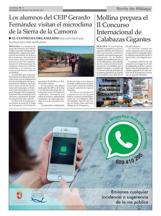 Norte de MálagaLa Crónica 34
Del sábado 8 al viernes 21 de abril de 2017
ç
Los alumnos del CEIP Gerardo
Fernández visitan el microclima
de la Sierra de la Camorra
MOLLINA. Los alumnos de
sexto de Primaria del Colegio
Público Gerardo Fernández de
Mollina han visitado este miér-
coles el microclima de la Sierra
de la Camorra, ubicada en el
municipio. Esta actividad se
enmarca entre las organiza-
das por el centro para que los
alumnos conozcan el medio
ambiente y su entorno, así
como el patrimonio natural
de Mollina.
La actividad que se desarro-
lló durante la mañana del miér-
coles contó con la colaboración
del área de Deportes delAyun-
tamiento de Mollina, así como
con la Asociación de Sende-
rismo del municipio y Protec-
ción Civil. De hecho, el conce-
jal de Deportes del Consistorio,
Francisco Díaz, acompañó a los
alumnos y profesores durante
la ruta por esta zona natural.
La Sierra de la Camorra se
encuentra al norte de la Vega
de Antequera, en el término
municipal de Mollina a 6 Km.
del núcleo urbano.
Es una macizo cuya altitud
oscila entre los 400 m. de la base
y los 780 del punto más alto; su
extensión es de 8 kilómetros
cuadrados, formando una
colina de suaves y redondeadas
vertientes. Los materiales geo-
lógicos son de naturaleza cal-
cárea.
La vegetación es abundante,
de monte bajo y con algunas
recientes poblaciones de pinos
en su base, contando también
con gran variedad de especies
animales.
En ella se encuentran un
conjunto de cuevas de gran
belleza e interés espeleológico
como son: Los Órganos, Sima
del Soldado, Sima de las Gra-
jas, La Araña, Sima del Gato,
Abrigo de los Porqueros,...
Mollina prepara el
II Concurso
Internacional de
Calabazas Gigantes
MOLLINA. El municipio de
Mollina se prepara ya para la
segunda edición del Concurso
Internacional de Calabazas
Gigantes, que tendrá lugar pró-
ximamente. Ya se pueden
adquirir las semillas para que se
vayan plantando y que puedan
dar las calabazas para acudir
al concurso. Las semillas, que se
pueden comprar a un precio de
1,5 euros la planta, proceden de
la calabaza ganadora de España
en Cantabria, una calabaza de
631 kilos de peso.
El concurso contará con
varias categorías entre las que
se encuentra la Categoría Open,
la calabaza más pesada, la deco-
rativa mini, y la categoría juve-
nil.
La primera edición de este
concurso tuvo lugar en el mes
deseptiembrede2016yaélacu-
dieron unos 40 participantes. La
calabaza ganadora en esta oca-
sión fue la de Francisco García,
con un peso de 34,4 kilos.
u EL CENTRO HA ORGANIZADO una actividad que
incluye una ruta senderista
 