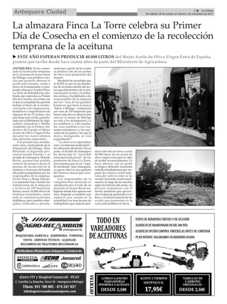 5 ç La Crónica
Del sábado 28 de octubre al viernes 3 de noviembre de 2017Antequera Ciudad
La almazara Finca La Torre celebra su Primer
Día de Cosecha en el comienzo de la recolección
temprana de la aceituna
ANTEQUERA. Ya ha comen-
zado la recolección temprana
de la aceituna en la provincia
de Málaga, una primera cose-
cha que permite obtener el
aceite más frutado, verde y
fresco de la temporada. La pre-
miada almazara Aceites Finca
La Torre de Bobadilla ha cele-
brado este miércoles su Primer
Día de Cosecha, un evento con
el que la compañía ha querido
festejar el inicio de la recolec-
ción junto con empresarios,
hosteleros e importadores de
algunos de los 27 países a los
que llega este aceite galardo-
nado por el Ministerio deAgri-
cultura, Ganadería y Medio
Ambiente con el Premio Ali-
mentos de España al Mejor
Aceite de Oliva Virgen Extra
durante los cuatro últimos
años de forma consecutiva.
A la jornada han asistido,
entre otros, el presidente de la
Diputación de Málaga, Elías
Bendodo; el diputado pro-
vincial Jacobo Florido, y el
alcalde de Antequera, Manolo
Barón, quienes han podido
conocer de primera mano el
proceso de recolección de la
aceituna y el proceso de batido
del aceite acompañados por los
responsables de la empresa,
Víctor Pérez y Borja Adrián.
Los asistentes han visitado las
instalaciones de la almazara
y la finca de 230 hectáreas
donde crecen 34.000 olivos de
distintas variedades, sobre
todo la variedad autóctona
hojiblanca, pero también arbe-
quina, cornicabra y picudo,
aceitunas a partir de las cuales
se produce uno de los aceites
de oliva más premiados del
mundo.
Bendodo ha recordado que
el AOVE es uno de los elemen-
tos de la triada estrella del sec-
tor agroalimentario de la pro-
vincia junto al vino y la indus-
tria cárnica, y ha felicitado a los
responsables de la empresa
por ser “una de las grandes
banderas que tiene la marca
‘Sabor a Málaga’, compuesta
por más de 700 empresas que
hacen cada día un esfuerzo por
ofrecer lo mejor de Málaga
no solo a los malagueños y a
los andaluces y a los españo-
les, sino también a los visi-
tantes extranjeros y a los mer-
cados de los países a los que la
marca malagueña se está
expandiendo”.
“La clave es la especializa-
ción y la internacionalización”,
ha subrayado Bendodo. Por su
parte, el alcalde de Antequera
ha destacado la “increíble
internacionalización” de los
productos de Finca La Torre,
una empresa que es un “orgu-
llo tremendo” para Antequera,
ya que se sitúa en una pedanía
del término municipal ante-
querano.
Los responsables de la
compañía han mostrado su
satisfacción por el éxito de un
proyecto en el que llevan tra-
bajando desde hace apenas seis
años, llegando a constituir una
empresa que cuenta en la
actualidad con una decena de
trabajadores que esperan pro-
ducir este año en torno a unos
40.000 litros de un aceite de
oliva virgen extra que no deja
de recibir reconocimientos. Lo
hace, además, con un aceite
ecológico obtenido mediante
métodos biodinámicos que res-
petan los ritmos y ciclos natu-
rales del cultivo como se ha
venido haciendo tradicional-
mente a lo largo de los muchos
siglos de historia del aceite, un
proceso respetuoso con el
medio ambiente que aprove-
cha el alperujo generado en la
finca y el abono natural de las
ovejas que pastorean en la
zona para fertilizar la tierra.
u ESTE AÑO ESPERAN PRODUCIR 40.000 LITROS del Mejor Aceite de Oliva Virgen Extra de España,
premio que recibe desde hace cuatro años de parte del Ministerio de Agricultura
 