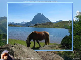 Le pic du midi d’Ossau 2884m depuis le lac Gentau 1947m . 