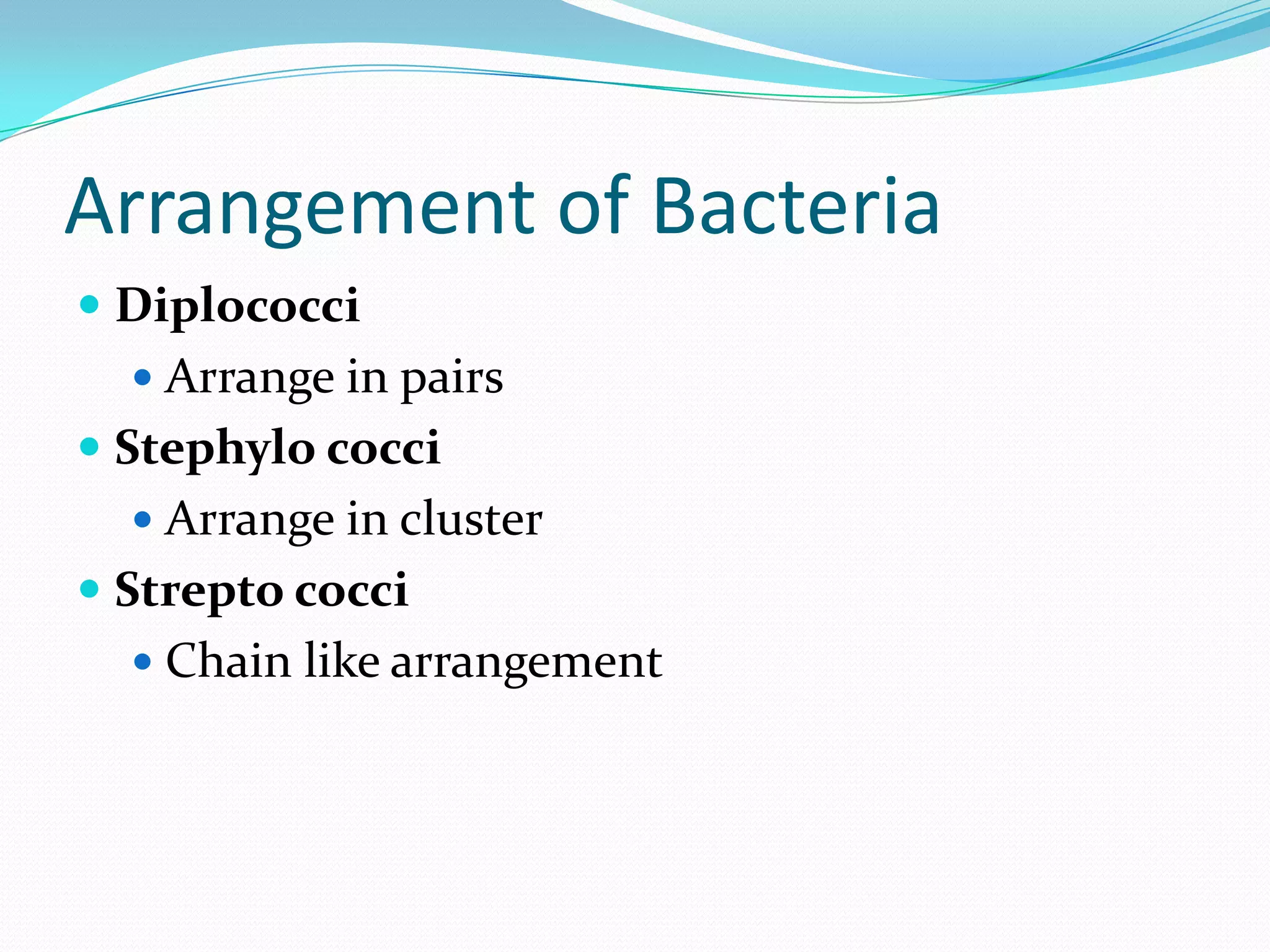 Arrangement of Bacteria
 Diplococci
 Arrange in pairs
 Stephylo cocci
 Arrange in cluster
 Strepto cocci
 Chain like arrangement
 