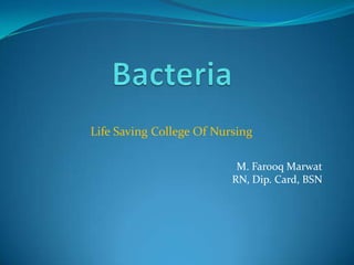 Life Saving College Of Nursing
M. Farooq Marwat
RN, Dip. Card, BSN
 