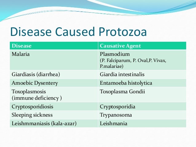 Essays Concerning Entamoeba Histolytica Infections - Services on Demand