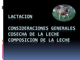 LACTACION
CONSIDERACIONES GENERALES
COSECHA DE LA LECHE
COMPOSICION DE LA LECHE
 
