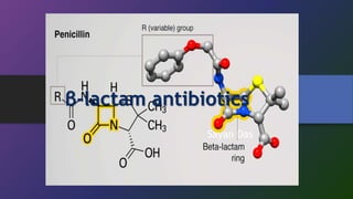 β-lactam antibiotics
Sayan Das
 