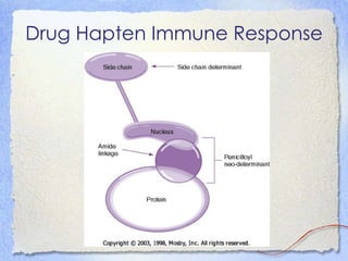 Drug Hapten Immune Response
 