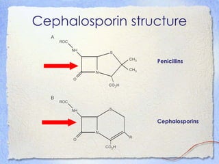 Cephalosporin structure

                  Penicillins




                  Cephalosporins
 