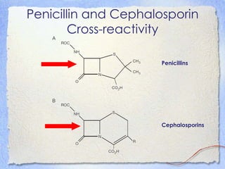 Penicillin and Cephalosporin
        Cross-reactivity

                     Penicillins




                     Cephalosporins
 