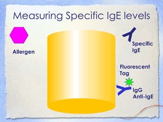 Measuring Specific IgE levels
                         Y
                          Specific
Allergen                  IgE


                      Fluorescent
                      Tag




                     Y
                          IgG
                          Anti-IgE
 