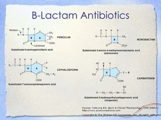 Β-Lactam Antibiotics
 