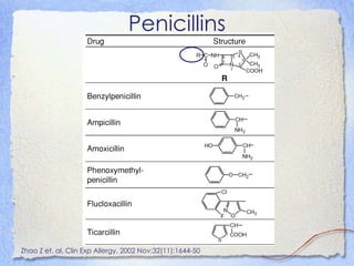 Penicillins




Zhao Z et. al. Clin Exp Allergy. 2002 Nov;32(11):1644-50
 