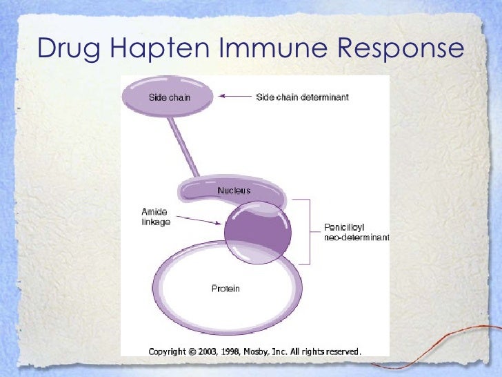 β Lactam antibiotic hypersensitivity crossreactivity