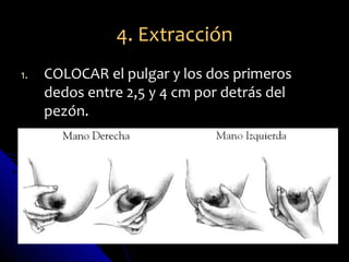4. Extracción
1.   COLOCAR el pulgar y los dos primeros
     dedos entre 2,5 y 4 cm por detrás del
     pezón.
 
