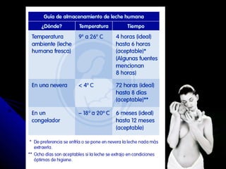 Lactancia