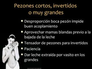Pezones cortos, invertidos
     o muy grandes
   Desproporción boca pezón impide
    buen acoplamiento
   Aprovechar mamas blandas previo a la
    bajada de la leche
   Tensador de pezones para invertidos
   Paciencia
   Dar leche extraída por vasito en los
    grandes
 
