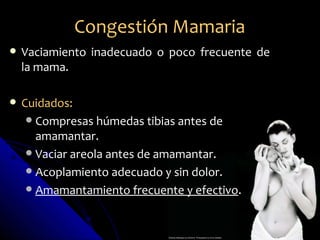 Congestión Mamaria
   Vaciamiento inadecuado o poco frecuente de
    la mama.

   Cuidados:
      Compresas húmedas tibias antes de
       amamantar.
      Vaciar areola antes de amamantar.
      Acoplamiento adecuado y sin dolor.
      Amamantamiento frecuente y efectivo.
 