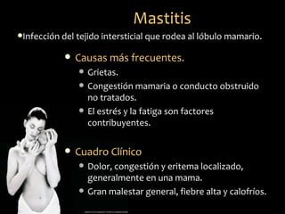 Mastitis
Infección del tejido intersticial que rodea al lóbulo mamario.


               Causas más frecuentes.
                   Grietas.
                   Congestión mamaria o conducto obstruido
                    no tratados.
                   El estrés y la fatiga son factores
                    contribuyentes.

               Cuadro Clínico
                   Dolor, congestión y eritema localizado,
                    generalmente en una mama.
                   Gran malestar general, fiebre alta y calofríos.
 