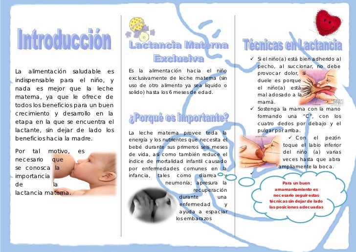Lfk para la lordosis sheynogo del departamento