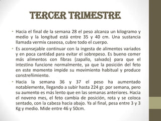 TERCER TRIMESTRE
• Hacia el final de la semana 28 el peso alcanza un kilogramo y
medio y la longitud está entre 35 y 40 cm. Una sustancia
llamada vermix caseosa, cubre todo el cuerpo.
• Es aconsejable continuar con la ingesta de alimentos variados
y en poca cantidad para evitar el sobrepeso. Es bueno comer
más alimentos con fibras (zapallo, salvado) para que el
intestino funcione normalmente, ya que la posición del feto
en este momento impide su movimiento habitual y produce
constreñimiento.
• Hacia la semana 36 y 37 el peso ha aumentado
notablemente, llegando a subir hasta 224 gr. por semana, pero
su aumento es más lento que en las semanas anteriores. Hacia
el noveno mes, el feto cambia de posición, rota y se coloca
sentado, con la cabeza hacia abajo. Ya al final, pesa entre 3 y 3
Kg y medio. Mide entre 46 y 50cm.
 