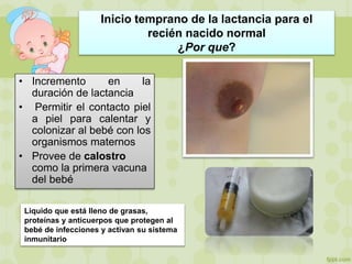 Inicio temprano de la lactancia para el
recién nacido normal
¿Por que?
• Incremento en la
duración de lactancia
• Permitir el contacto piel
a piel para calentar y
colonizar al bebé con los
organismos maternos
• Provee de calostro
como la primera vacuna
del bebé
Liquido que está lleno de grasas,
proteínas y anticuerpos que protegen al
bebé de infecciones y activan su sistema
inmunitario
 