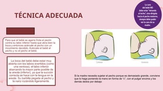 TÉCNICA ADECUADA
Para que el bebé se agarre frota el pezón
contra su labio inferior hasta que abra bien la
boca y entonces acércale al pecho con un
movimiento decidido. Acércate el bebé al
pecho y no el pecho al bebé.
AGARRE
La boca del bebé debe estar muy
abierta con los labios evertidos (como
una ventosa), el labio inferior
abarcando la mayor parte posible de
la areola (inferior), ya que la succión
correcta se hace con la lengua en la
areola. Su barbilla pegada al pecho y
la nariz rozándolo ligeramente.
Si la madre necesita sujetar el pecho porque es demasiado grande, conviene
que lo haga poniendo la mano en forma de “c”, con el pulgar encima y los
demás dedos por debajo
 