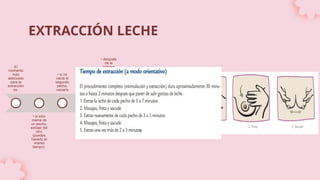 EXTRACCIÓN LECHE
El
momento
más
adecuado
para la
extracción
es:
• si sólo
mama de
un pecho,
extraer del
otro
(puedes
hacerlo al
mismo
tiempo)
• si no
vacía el
segundo
pecho,
vaciarlo
• entre
toma y
toma
• después
de la
primera
toma de la
mañana,
cuando los
pechos
están más
llenos.
Lávate
siempre
las manos
antes de
manipular
el pecho
cuando se
salta una
toma
 