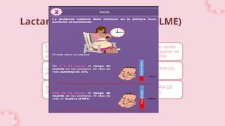 Lactancia materna exclusiva (LME)
Es un tipo de alimentación que consiste en que el bebé sólo reciba
leche materna y ningún otro alimento sólido o líquido a excepción de
soluciones rehidratantes vitaminas minerales o medicamentos.
La OMS y UNICEF recomiendo que ésta se mantenga durante los
primeros 6 meses.
Inicie en la primera hora de vida después del parto (LA HORA DE
ORO), que sea libre demanda y se evite el uso de fórmulas.
 