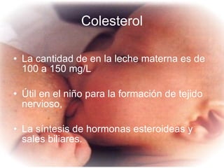 Colesterol La cantidad de en la leche materna es de 100 a 150 mg/L  Útil en el niño para la formación de tejido nervioso,  La síntesis de hormonas esteroideas y sales biliares. 