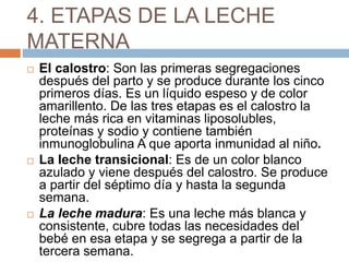4. ETAPAS DE LA LECHE
MATERNA
 El calostro: Son las primeras segregaciones
después del parto y se produce durante los cinco
primeros días. Es un líquido espeso y de color
amarillento. De las tres etapas es el calostro la
leche más rica en vitaminas liposolubles,
proteínas y sodio y contiene también
inmunoglobulina A que aporta inmunidad al niño.
 La leche transicional: Es de un color blanco
azulado y viene después del calostro. Se produce
a partir del séptimo día y hasta la segunda
semana.
 La leche madura: Es una leche más blanca y
consistente, cubre todas las necesidades del
bebé en esa etapa y se segrega a partir de la
tercera semana.
 