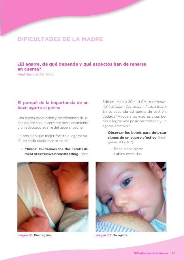 Abordaje De Las Dificultades Mas Frecuentes En La Lactancia Materna