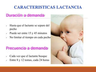 Duración a demanda
 Hasta que el lactante se separe del
pecho
 Puede ser entre 15 y 45 minutos
 No limitar el tiempo en cada pecho
Frecuencia a demanda
 Cada vez que el lactante busque
 Entre 8 y 12 tomas, cada 24 horas
 