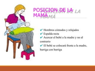 POSICION DE LA
MAMÁ
✔ Hombros cómodos y relajados
✔ Espalda recta
✔ Acercar el bebé a la madre y no al
contrario
✔ El bebé se colocará frente a la madre,
barriga con barriga
 
