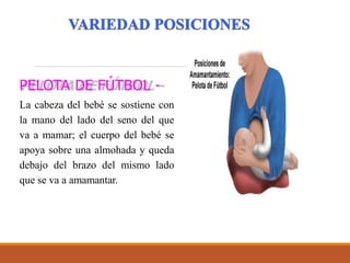 PELOTA DE FÚTBOL -
La cabeza del bebé se sostiene con
la mano del lado del seno del que
va a mamar; el cuerpo del bebé se
apoya sobre una almohada y queda
debajo del brazo del mismo lado
que se va a amamantar.
 