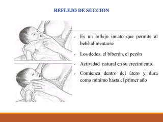  Es un reflejo innato que permite al
bebé alimentarse
 Los dedos, el biberón, el pezón
 Actividad natural en su crecimiento.
 Comienza dentro del útero y dura
como mínimo hasta el primer año
 