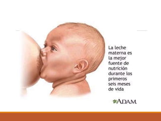 Lactancia-materna.pptx