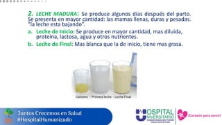 2. LECHE MADURA: Se produce algunos días después del parto.
Se presenta en mayor cantidad: las mamas llenas, duras y pesadas.
“la leche esta bajando”.
a. Leche de Inicio: Se produce en mayor cantidad, mas diluida,
proteína, lactosa, agua y otros nutrientes.
b. Leche de Final: Mas blanca que la de inicio, tiene mas grasa.
 