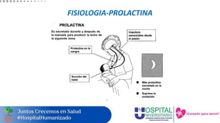 FISIOLOGIA-PROLACTINA
 